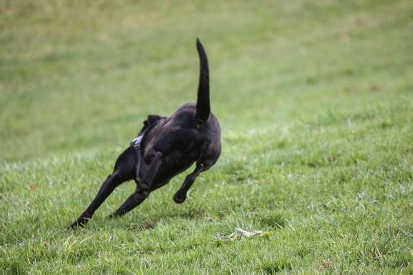 45. Handy - Foto - Challenge-Beitrag-Bild