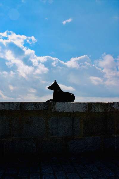 10. Farben Foto-Challenge ---- Blau-Beitrag-Bild