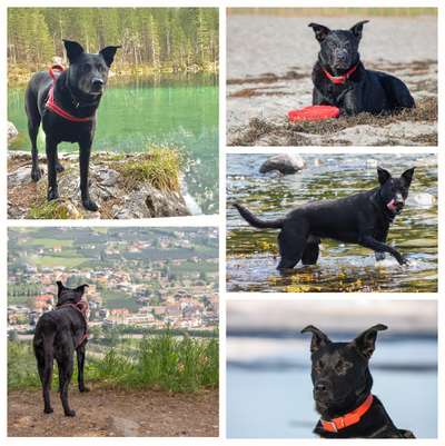 45. Collage Challenge - Lieblingsurlaubs/ Ausflugsziele-Beitrag-Bild