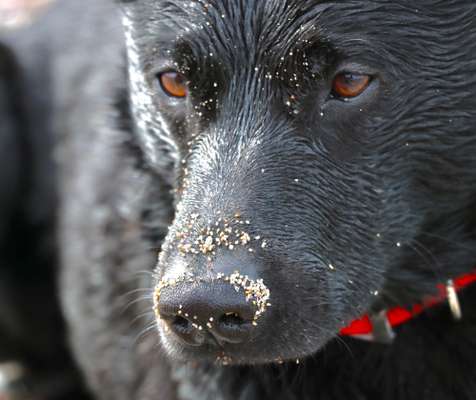 150. Foto Challaenge:  Die Augen, der Spiegel der Seele-Beitrag-Bild