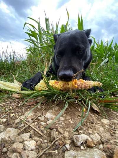 19. Farben  Fottochallenge :
Lieblingsfarbe-Beitrag-Bild