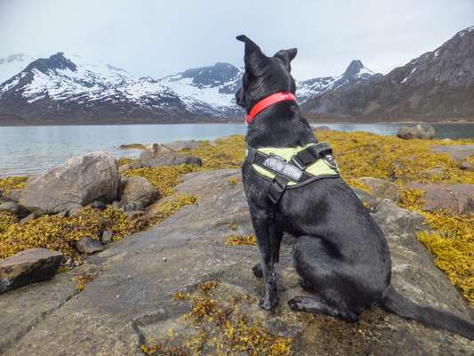 55. Handy Foto Challenge - von hinten, Blick in die Ferne-Beitrag-Bild