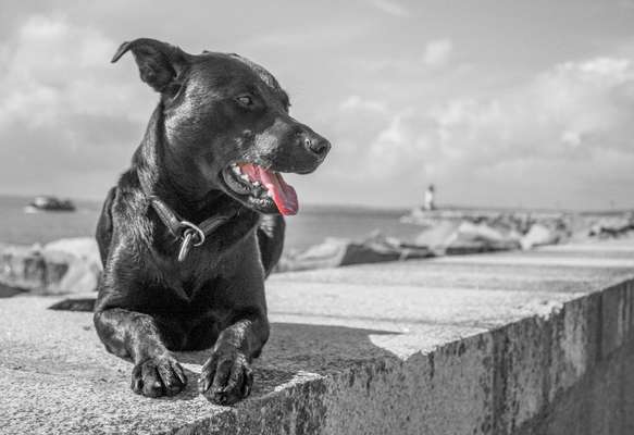 6. Farben Foto Challenge: "ColourKey Effekt"-Beitrag-Bild