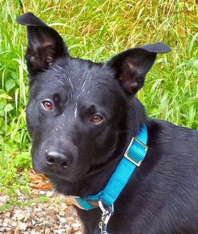 23. Farben / Fotochallenge - Türkis --Beitrag-Bild