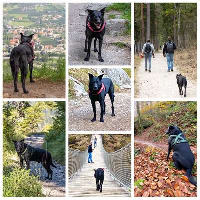 30. Collagen Challenge - Wege/Straßen-Beitrag-Bild