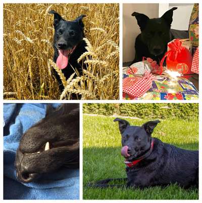 48. Collagen Challenge: Das Leben ist bunt-Beitrag-Bild