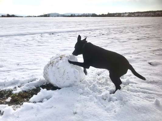 138. Fotochallenge 

(M)Ein Ball und ich-Beitrag-Bild