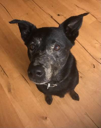 147. Foto Challenge: Bettelblick-Beitrag-Bild