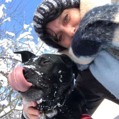 Corinna's Profilbild