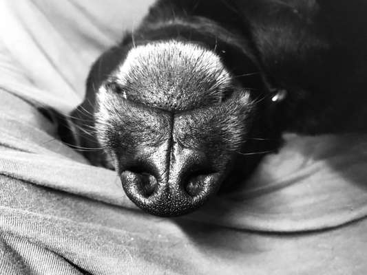 Lustigsten Bilder-Beitrag-Bild