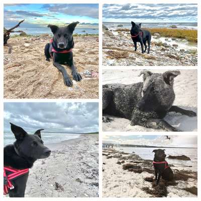 37. Collagen Challenge- Am Strand-Beitrag-Bild