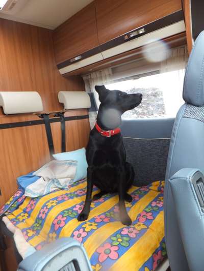 141. FOTO CHALLENGE 
Reisende soll man nicht aufhalten-Beitrag-Bild