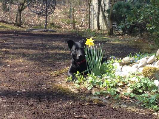 140. Foto Challenge - schattiges Plätzchen-Beitrag-Bild