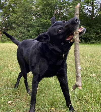 65. Handy Foto Challange                     "Ich kann nicht ohne..."-Beitrag-Bild