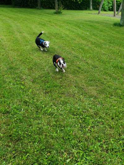 42.Fotochallenge - Eure schönen Momente beim Spaziergang-Beitrag-Bild