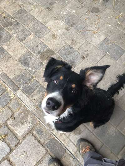 Handy-Foto Challange Nr. 10-Beitrag-Bild