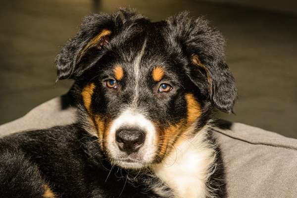 Zeigt eure Portraits-Beitrag-Bild