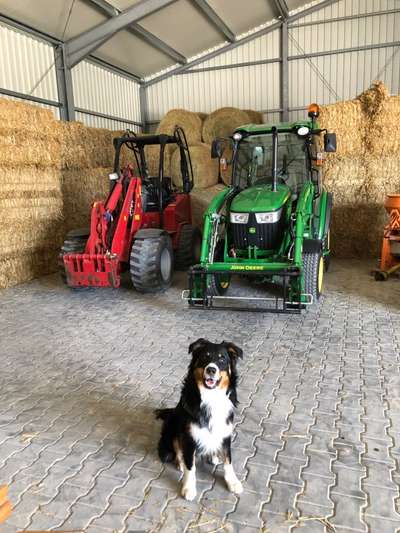 56. Handy Foto Challenge - Grosse Maschinen-Beitrag-Bild