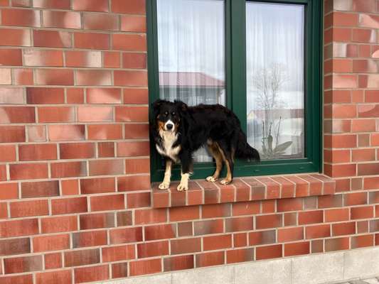 31. Collagen Challenge - Bänke/ Steine /Baumstümpfe-Beitrag-Bild