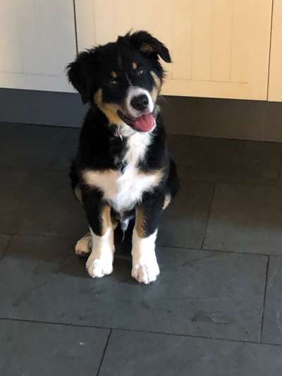 Ist das ein...?-Beitrag-Bild