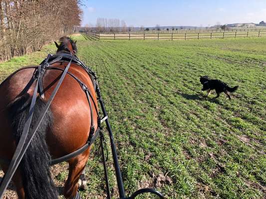 41. Handy Fotochallenge - Euer gemeinsames Hobby-Beitrag-Bild