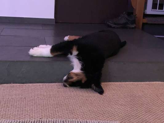 Die unbequemsten und lustigsten Schlafpositionen-Beitrag-Bild