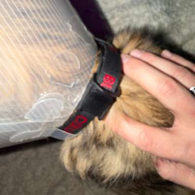 Hautveränderung entdeckt-Beitrag-Bild