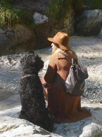 Dogorama Photo Challenge - Gassipause-Beitrag-Bild