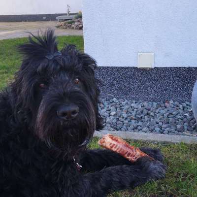 Seltene Rassen!-Beitrag-Bild