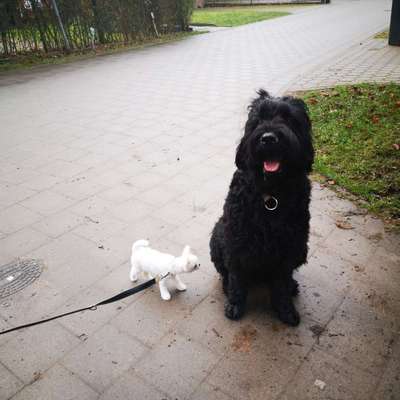 Klischeedenken einiger Menschen-Beitrag-Bild