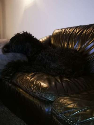 Ton in Ton-Beitrag-Bild