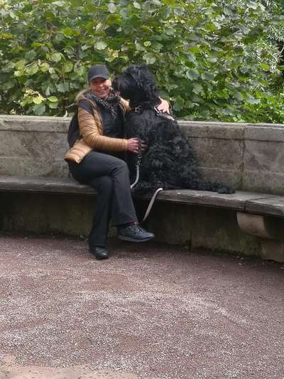 Würdet ihr auch Hundebegegnungen zulassen?-Beitrag-Bild