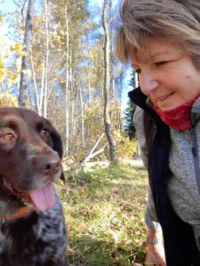 Kleiner Münsterländer!-Beitrag-Bild