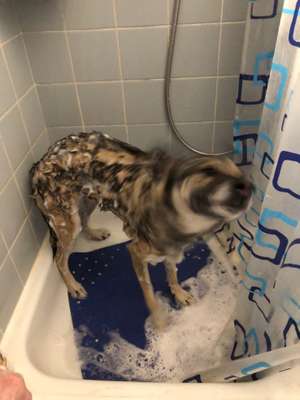 Schaumige Badebilder eurer Lieblinge-Beitrag-Bild