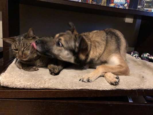 CHALLENGE Nr.17-Beitrag-Bild