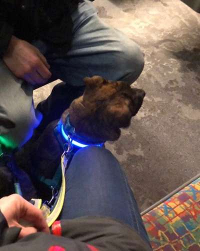 CHALLENGE NR. 18 - ON TOUR-Beitrag-Bild