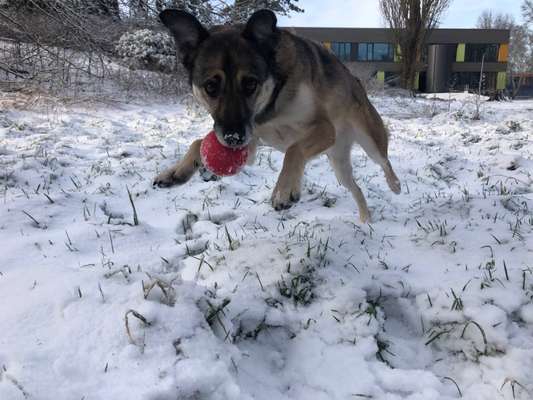 Challenge Nr. 15
Spiel im Schnee-Beitrag-Bild