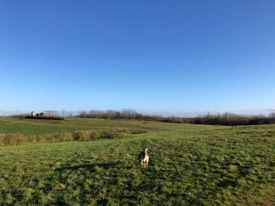 Hundeauslaufgebiet-Osternburger Utkiek-Bild