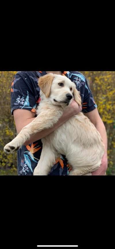 Foto Challenge 82-Beitrag-Bild