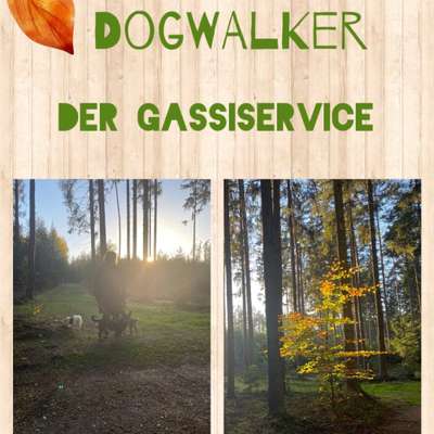 Gassi-Service Dogwalker - der Gassiservice in Geiselhöring  – Dogorama