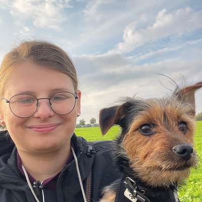 Hundetreffen-Spieldate,Gassirunde-Bild