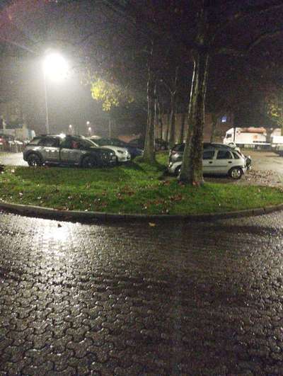 Giftköder-Giftköder am Parkplatz Am Poter-Bild