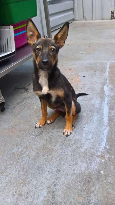 Foto Challenge 3-Beitrag-Bild