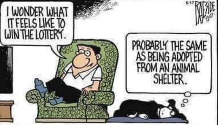 TierschutzhundeStammtisch🐕-Beitrag-Bild