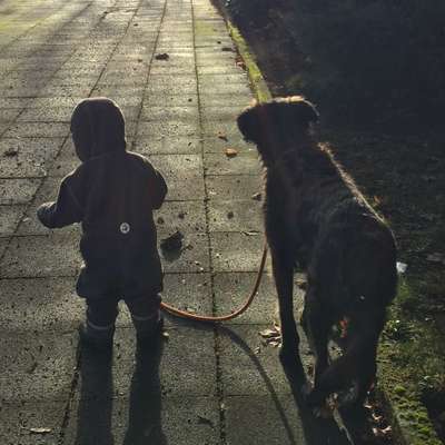 Fotochallenge Nr. 62 Romantische Momente-Beitrag-Bild