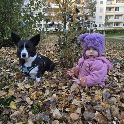 Michelle's Profilbild