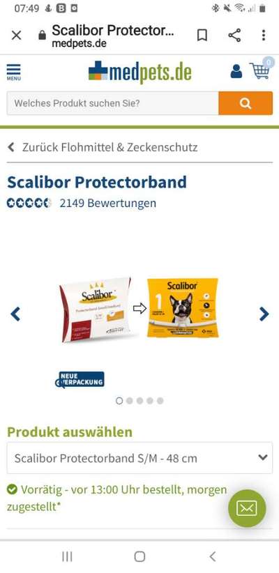 Floh und Zeckenmittel-Beitrag-Bild