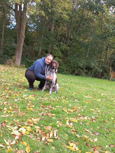 Kleiner Münsterländer!-Beitrag-Bild