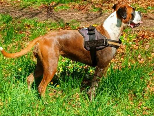 Farben Fotochallenge Sonnenlicht-Beitrag-Bild