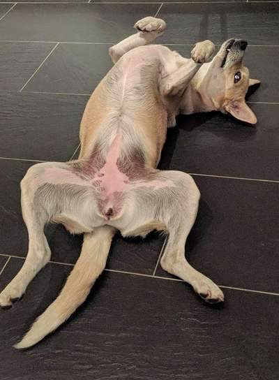 FOTO-Challenge  NR. 91: Die pure Entspannung-Beitrag-Bild